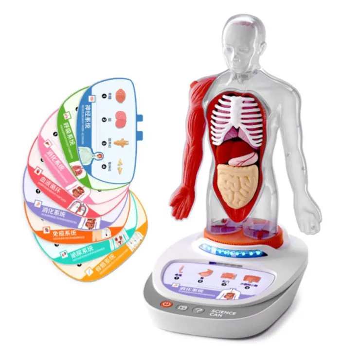 Canal Science Mi Cuerpo Voz Pedia 3D>Otras marcas Sale