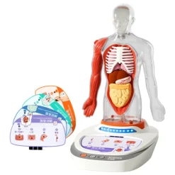 Canal Science Mi Cuerpo Voz Pedia 3D><noscript><img width=