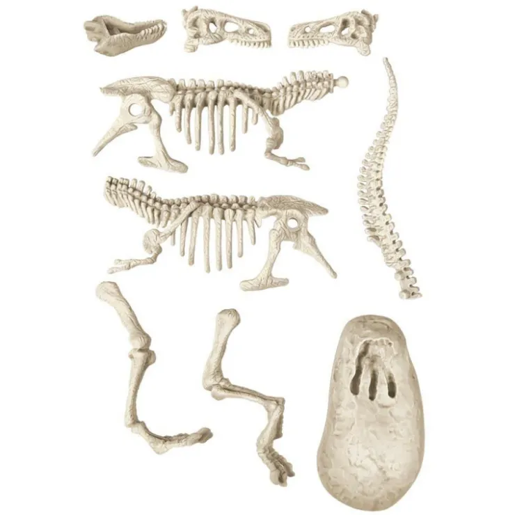 Lab Arqueo Jugando T-Rex Brilla en la Oscuridad>Ciencia y juego Clearance