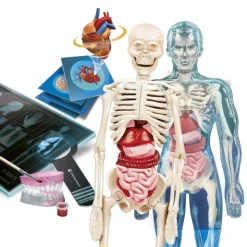 Superanatomía>Ciencia y juego New