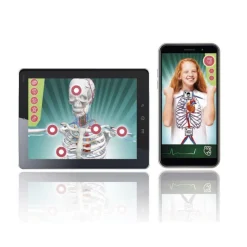 Superanatomía><noscript><img width=