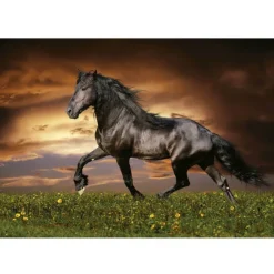 Educa Puzzle 1000 Piezas Caballo a Trote - 19555>Otras marcas Discount