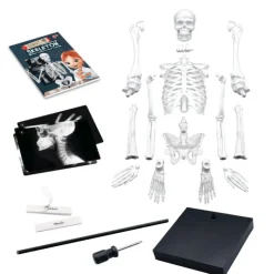Esqueleto 85 cm><noscript><img width=