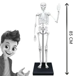 Esqueleto 85 cm><noscript><img width=