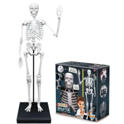 Esqueleto 85 cm><noscript><img width=