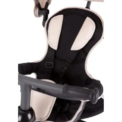 Triciclo Evolution><noscript><img width=