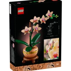 Botanical Collection Miniorquídea - 10343><noscript><img width=