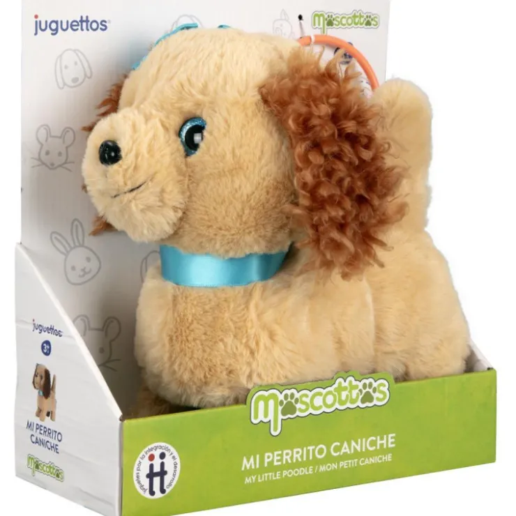 Perrito Caniche>Mascottas Best