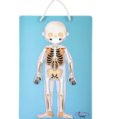 Aprendo el Cuerpo Humano Magnético><noscript><img width=